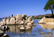 我叫造价工程师证考友天涯论坛